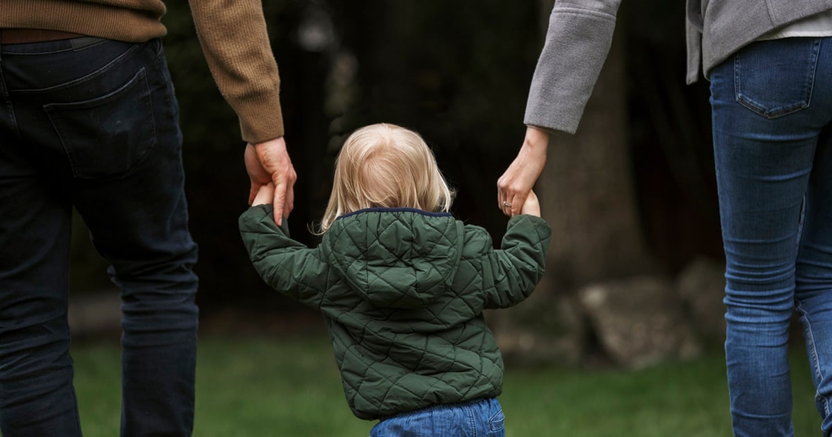 prohibited steps order